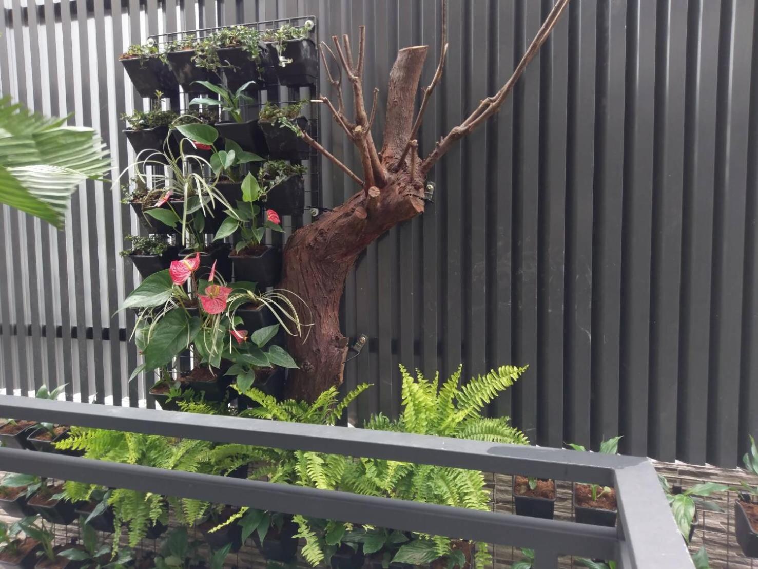 Yuan Places Taitung 외부 사진